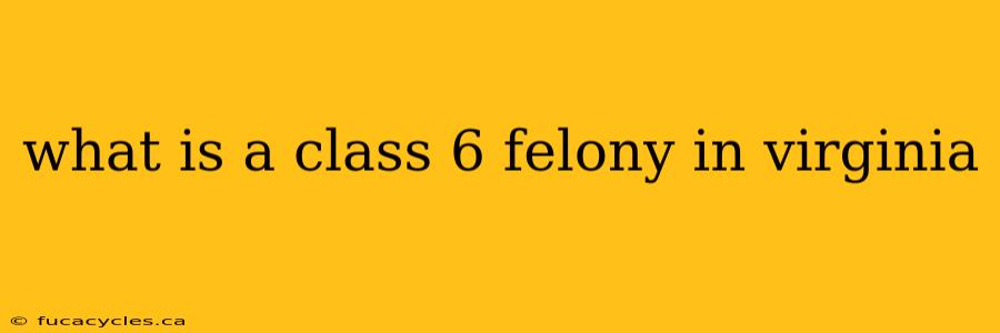 what is a class 6 felony in virginia