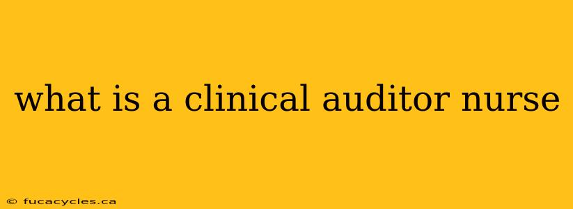 what is a clinical auditor nurse