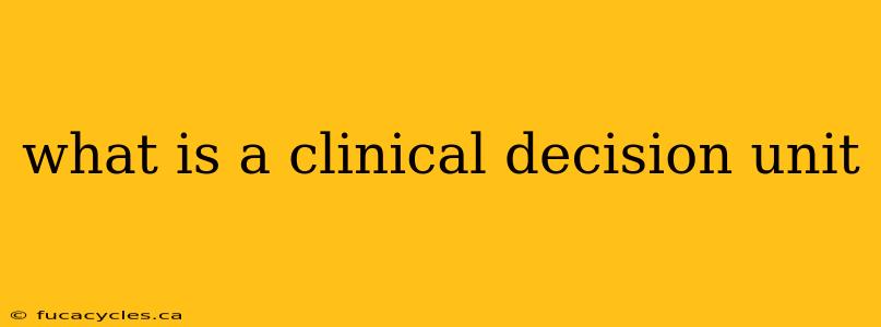 what is a clinical decision unit