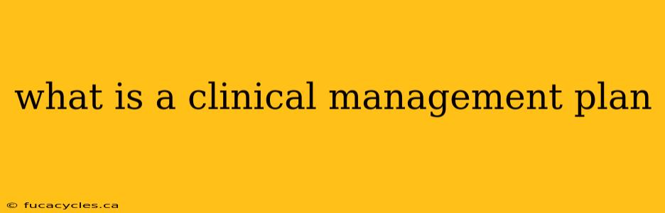 what is a clinical management plan