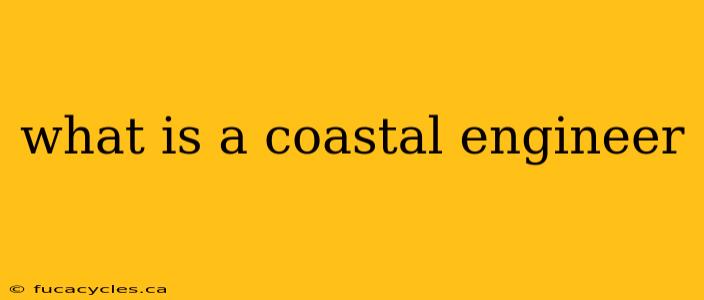 what is a coastal engineer