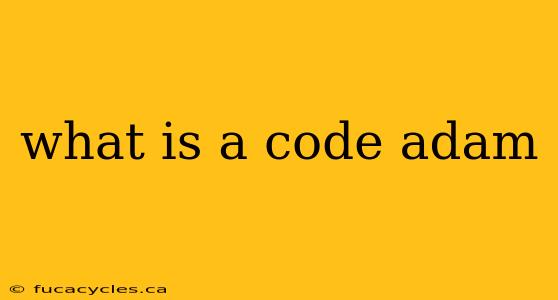 what is a code adam