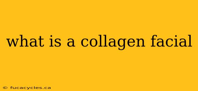 what is a collagen facial