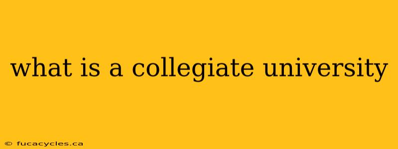 what is a collegiate university