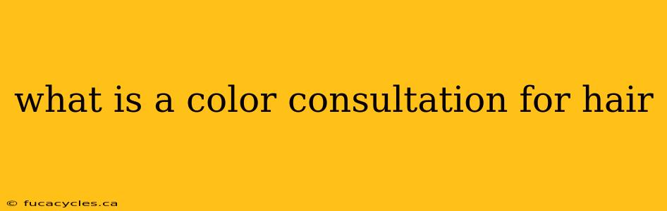 what is a color consultation for hair