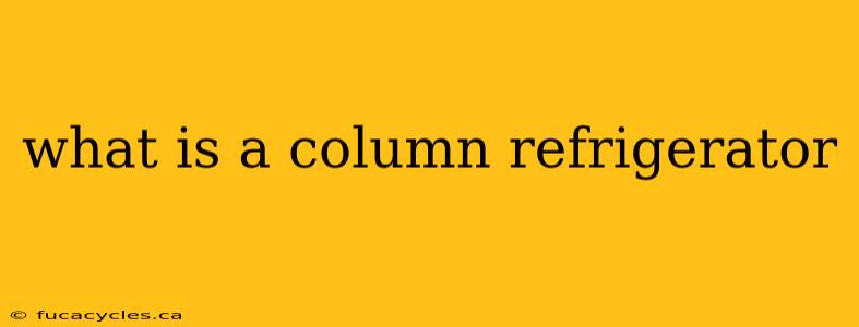 what is a column refrigerator