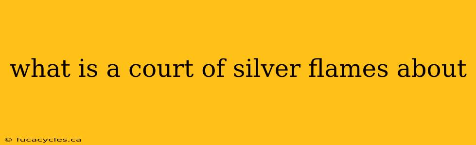 what is a court of silver flames about