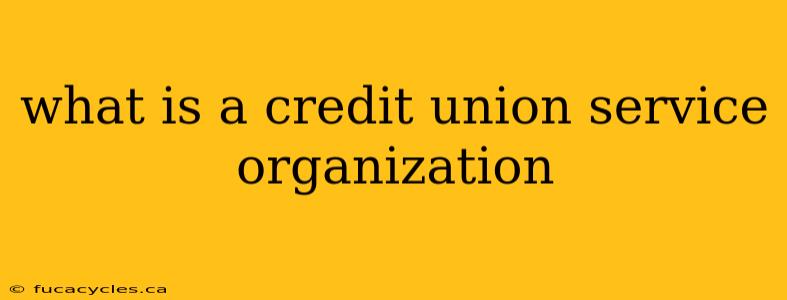 what is a credit union service organization