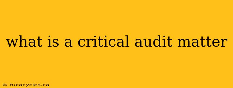 what is a critical audit matter