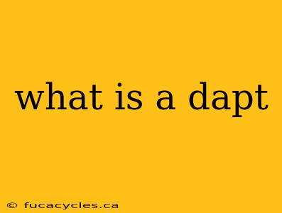 what is a dapt