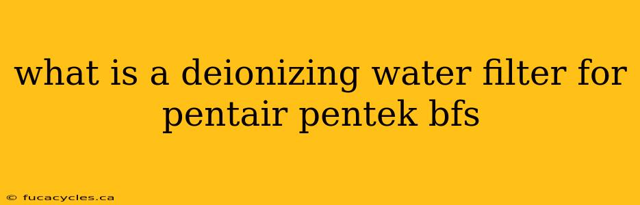 what is a deionizing water filter for pentair pentek bfs