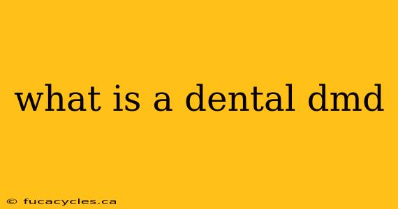 what is a dental dmd