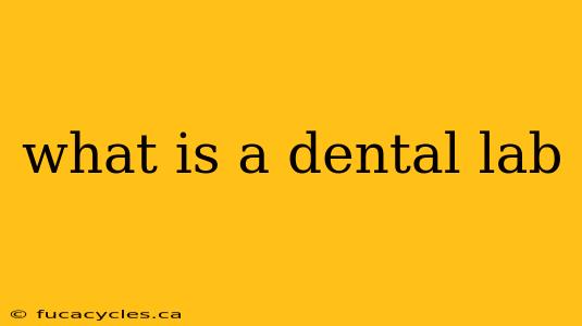 what is a dental lab