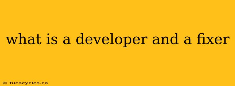 what is a developer and a fixer