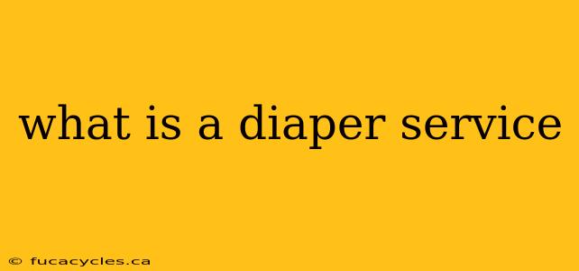 what is a diaper service