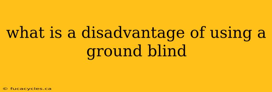 what is a disadvantage of using a ground blind