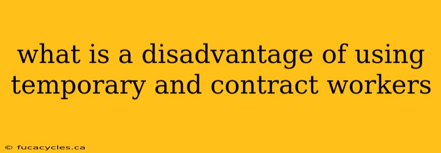 what is a disadvantage of using temporary and contract workers