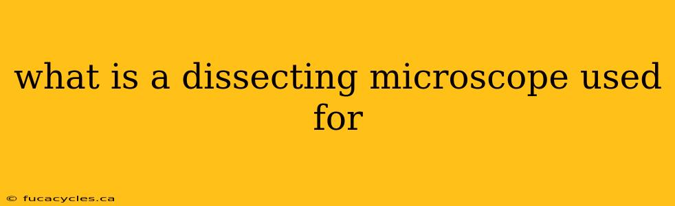 what is a dissecting microscope used for