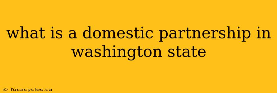 what is a domestic partnership in washington state