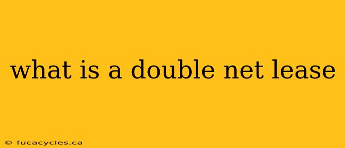 what is a double net lease