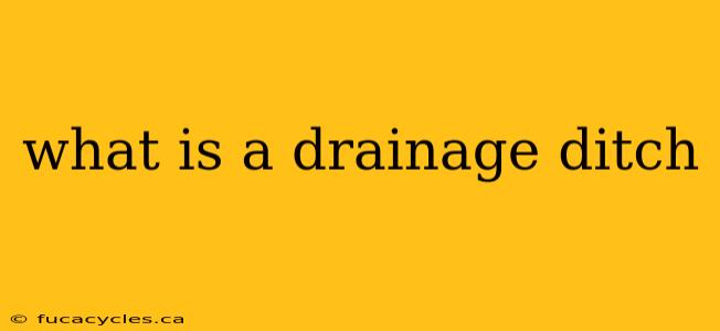 what is a drainage ditch