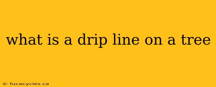 what is a drip line on a tree