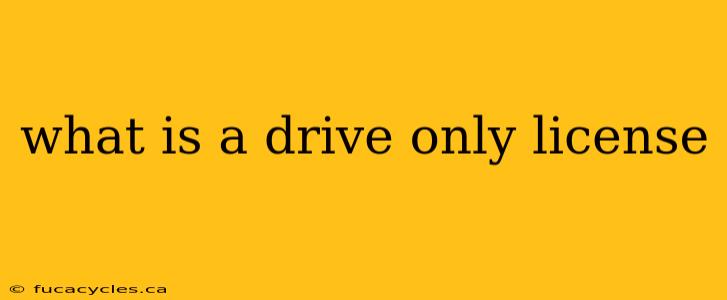 what is a drive only license