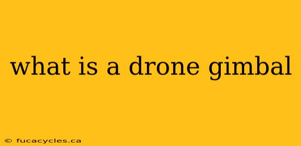 what is a drone gimbal