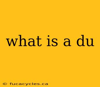 what is a du