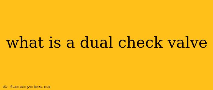 what is a dual check valve