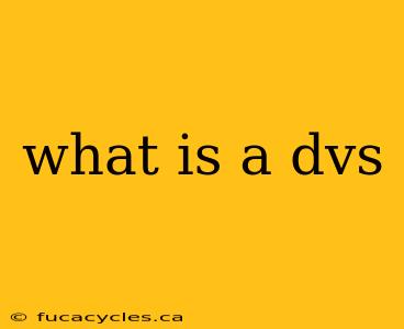 what is a dvs