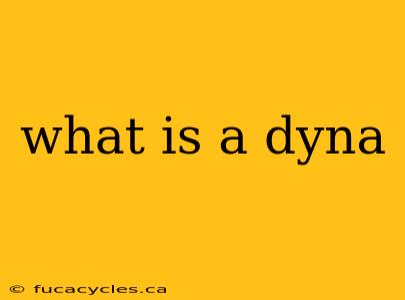 what is a dyna