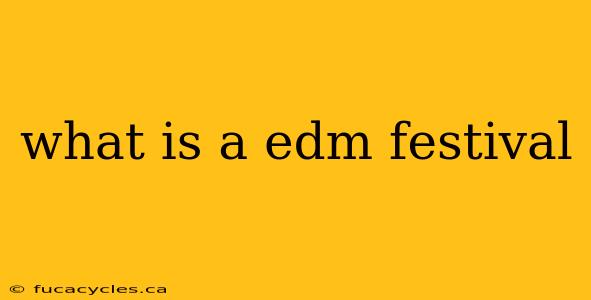 what is a edm festival