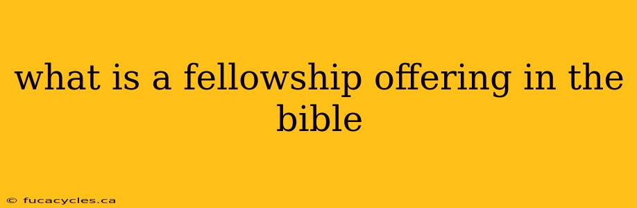 what is a fellowship offering in the bible