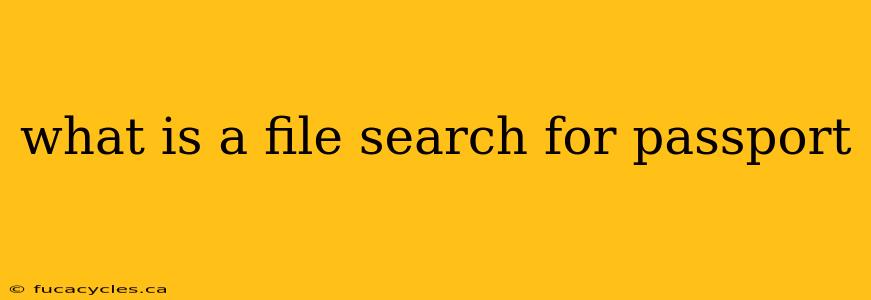 what is a file search for passport