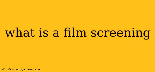 what is a film screening