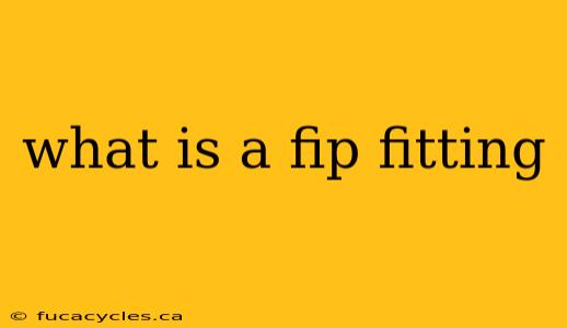 what is a fip fitting