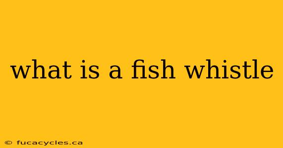 what is a fish whistle