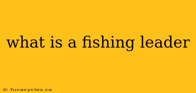 what is a fishing leader