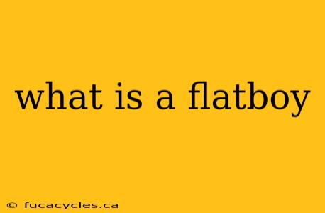 what is a flatboy