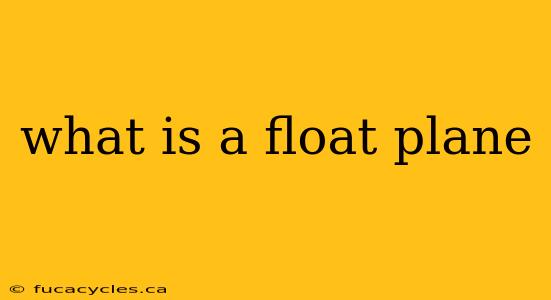 what is a float plane