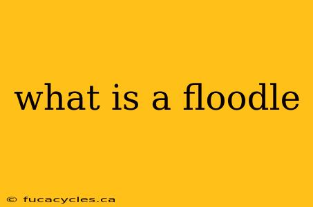 what is a floodle