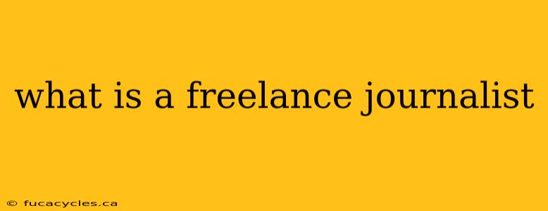 what is a freelance journalist