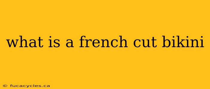 what is a french cut bikini