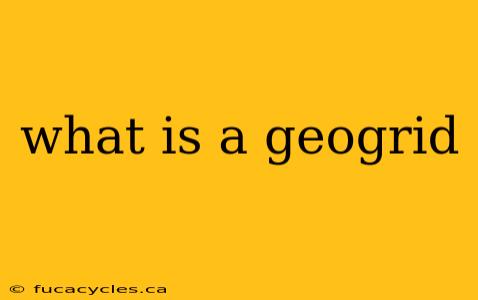 what is a geogrid