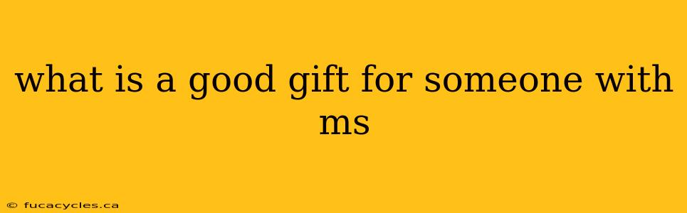 what is a good gift for someone with ms