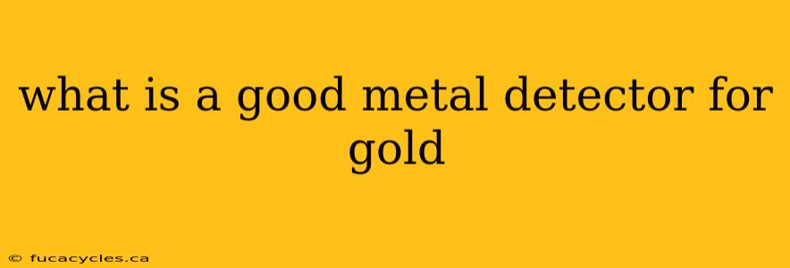 what is a good metal detector for gold