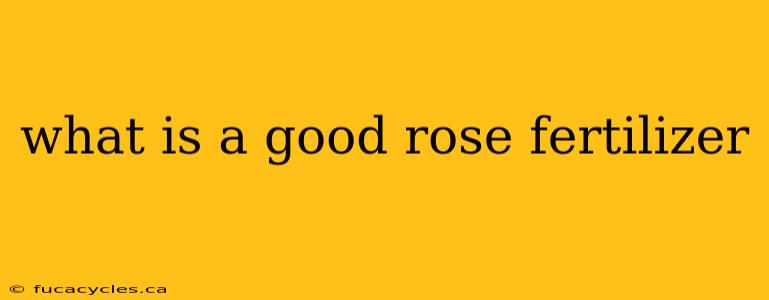 what is a good rose fertilizer