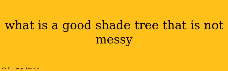 what is a good shade tree that is not messy