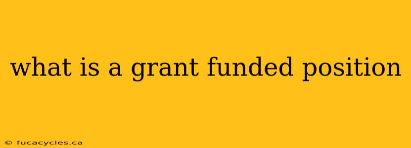 what is a grant funded position